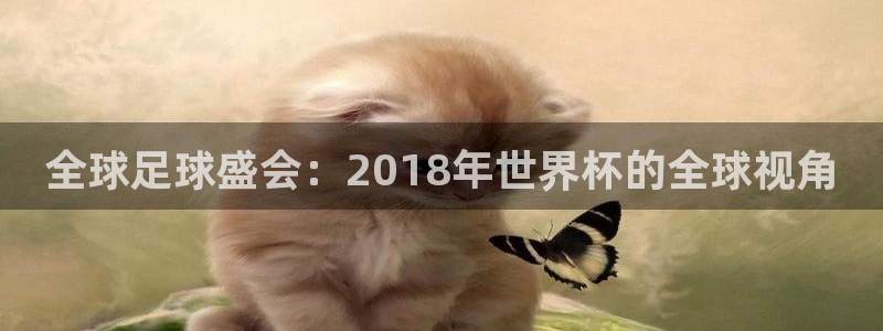足球世界杯时间:全球足球盛会:2018年世界杯的全球视角
