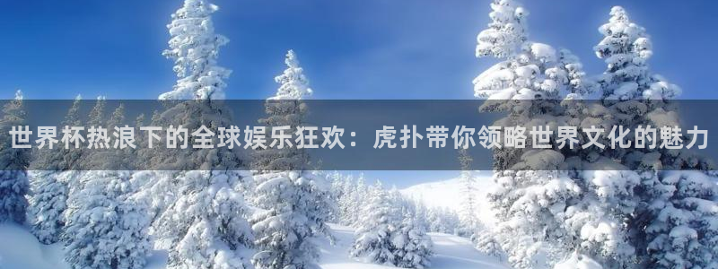 英足总杯直播:世界杯热浪下的全球娱乐狂欢:虎扑带你领略世界文化的魅力