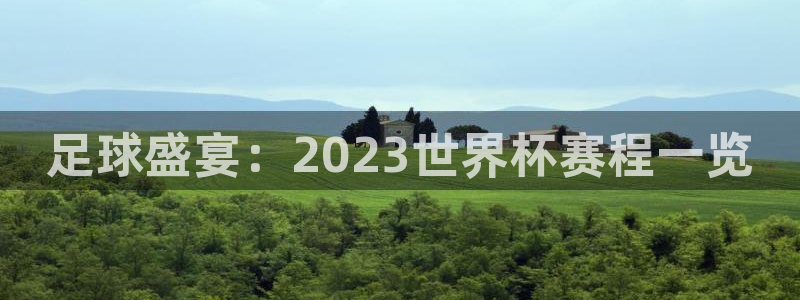 2006年世界杯:足球盛宴:2023世界杯赛程一览