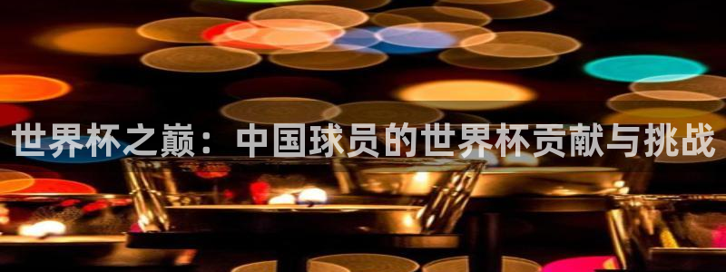 2026世界杯买球:世界杯之巅:中国球员的世界杯贡献与挑战