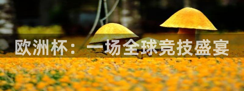 世界杯亚洲区预选赛积分榜:欧洲杯:一场全球竞技盛宴